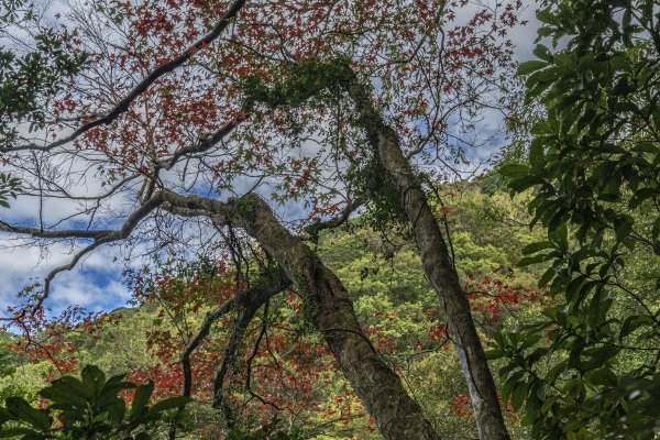 2020-12-26滿月圓1393869