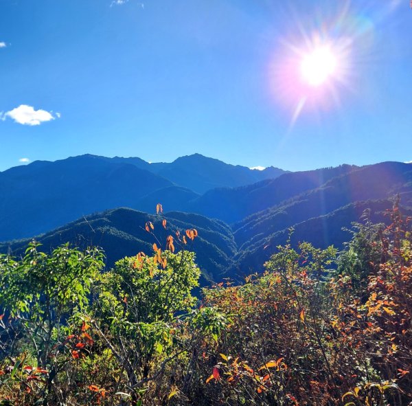 【中級山縱走】羅馬縱走，走進神木的夢幻童話森林世界2943174