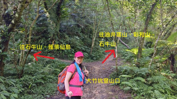 (姨婆趴趴走)第十四集:新竹關西油井窩山、彩和山、高甫山縱走2206431