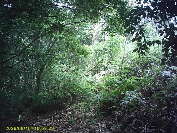 我音四連峰縱走3109041