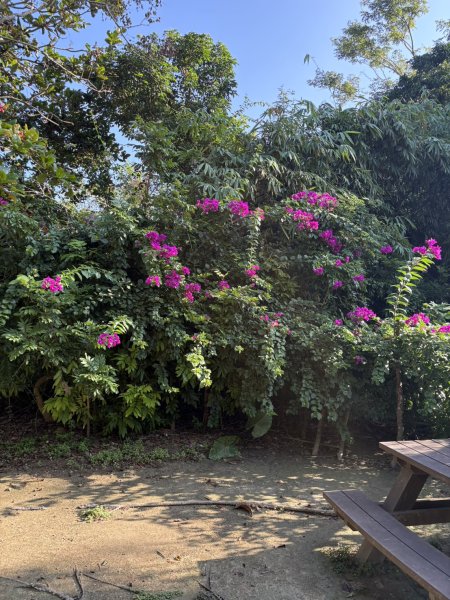 20251115壽山步道(元亨寺免費停車啟登)2938477