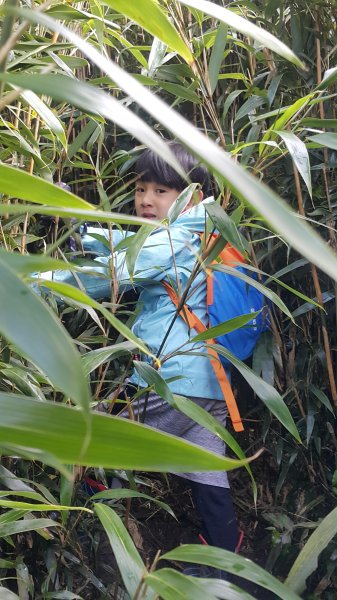 阿興阿賢小觀音山562667