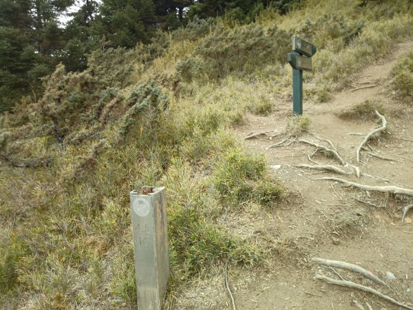 合歡西峰單攻1216970