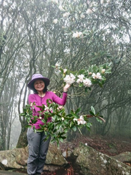 橫嶺山、鳶嘴山O 走1660950