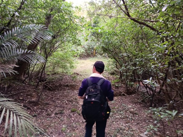 貢寮區蚊子坑古道+和美池+和美山+北勢坑古道2990874