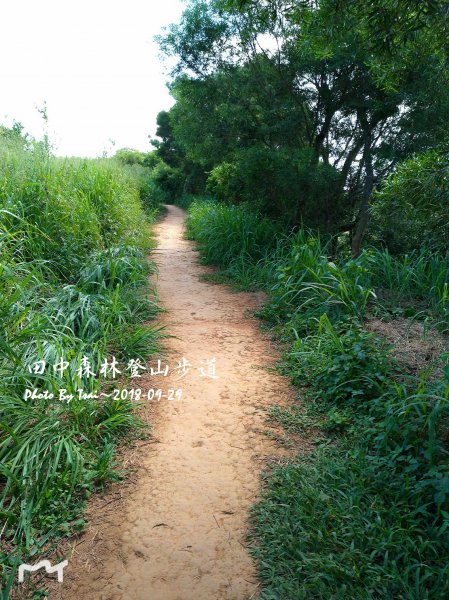 田中森林公園登山步道20180929455511