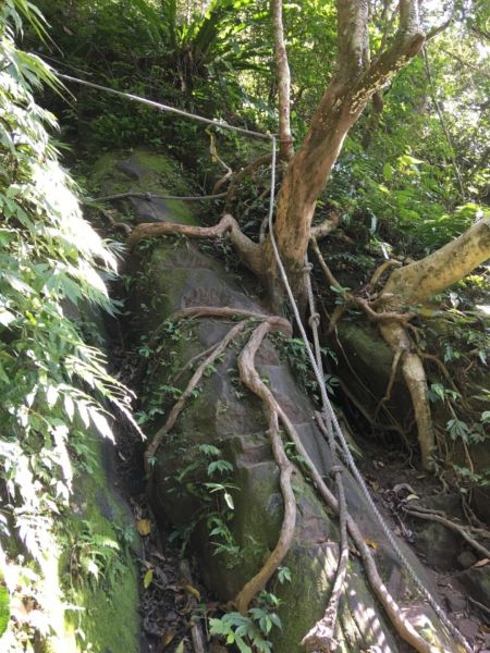 右去左回-石牛山300098