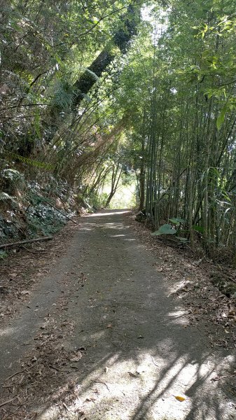 大湖尖山VS鳳凰瀑布封面