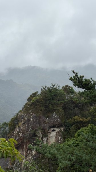 迎新（2026元旦2975590