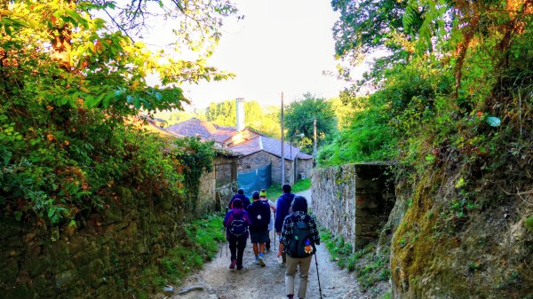 西班牙朝聖法國之路115KM, Day43125837