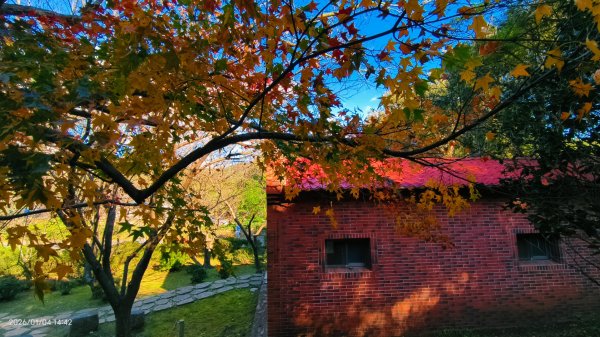 #花卉試驗中心 #永公路500巷 #平菁街42巷 #原住民公園 #士林官邸 1/42976552