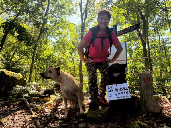 雙崎埋伏坪山歩道、鯉魚潭水庫、大峽谷2938947