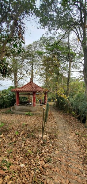 2023-04-15刣牛湖山登山步道2114666