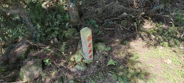 20220312_馬那邦山 細道邦山南峰 細道邦山1637074