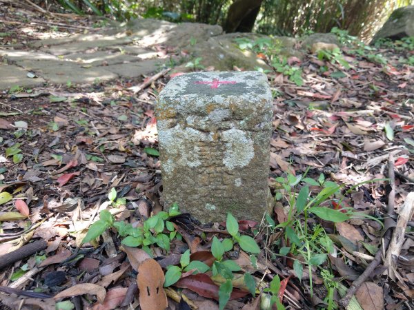 走永春寮步道登中正山，由第一登山口轉頂湖山下頂湖 (2021/3/26)1416717