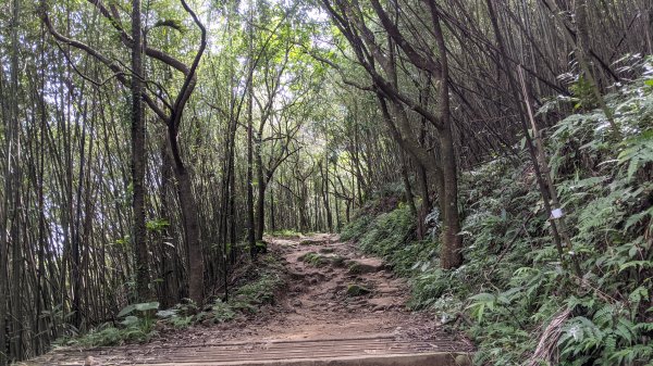 關仔嶺大凍山步道封面