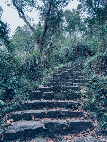 小百岳大凍山2775064