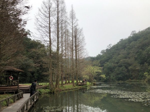 福山植物園511069