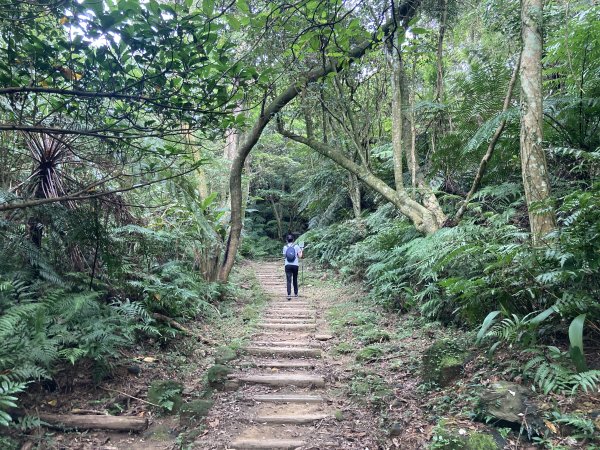 土庫岳2527761