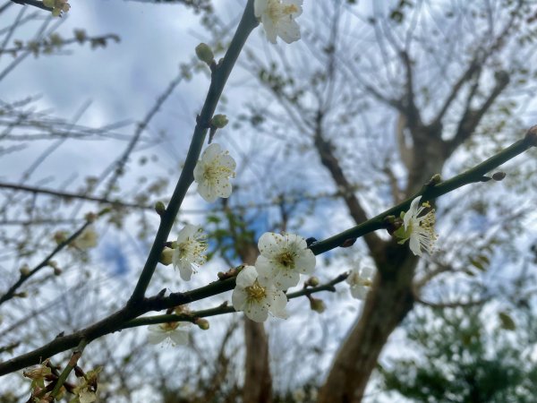 蜊埤湖、芃芃溫泉、天狗溪噴泉逍遙遊   2021/12/281570084