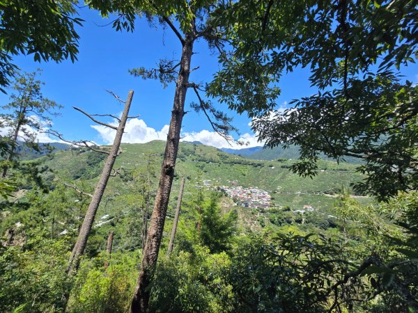 志佳陽大山（回程走高繞環山獵人登山步道）2542280