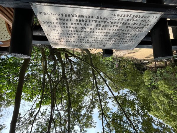 20230503__三汀山+阿罩霧山（台中小百岳）2762349