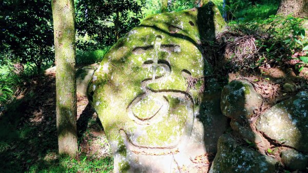 陽明山16草原之西線8草原2904055