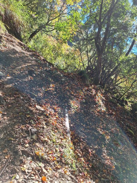 石山引水道202512112959557