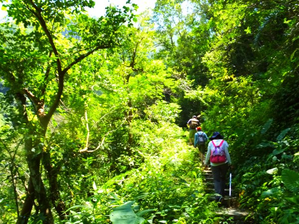 【走入山林，清涼一夏】宜蘭澳花瀑布步道633035