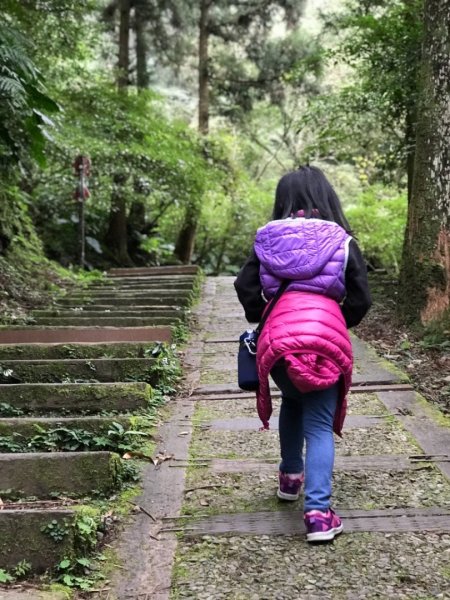 東眼森林遊樂區慢活樂趣526134