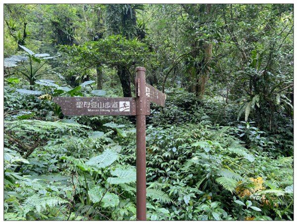 聖母峰、三角崙山 (抹茶山) 連走2802204