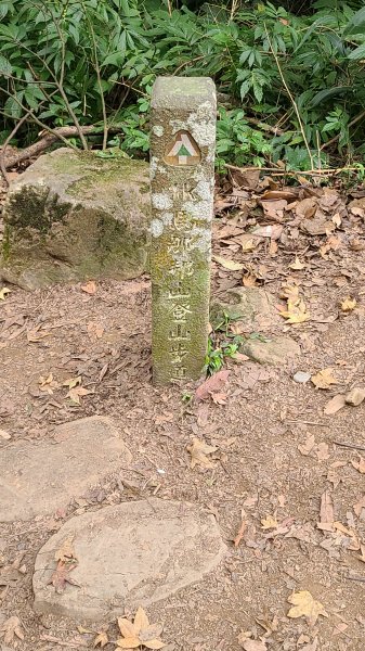 2021-1202 馬那邦山O型1535339