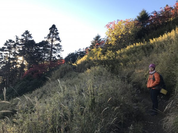 雪山 不下雪532981