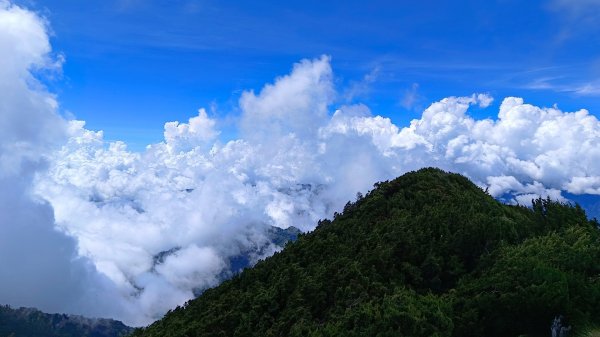 南橫F4之關山/庫哈諾辛山1747994