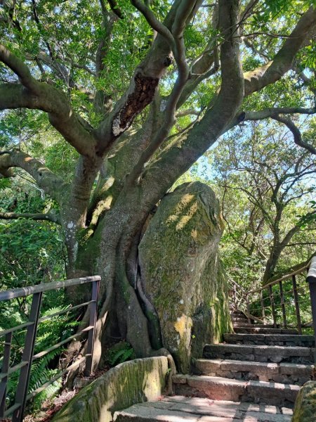 象山親山步道 - (台北)臺灣百大必訪步道2293037