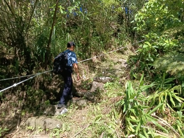 雙溪區內盤山坑古道+石硿子越嶺古道+盤山坑古道+過火坪古道O型2914359