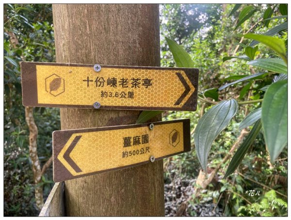 菜壽凸、薑麻園出關古道2797002