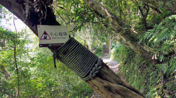 福山部落,內洞森遊區2552411