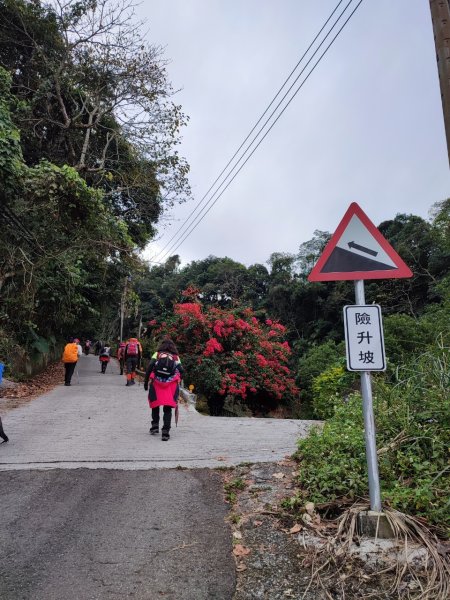 四訪苗栗的花果山-小百岳#037馬那邦山、雪霸國家公園管理處【小百岳集起來、苗栗-臺灣百大必訪步道】2394225