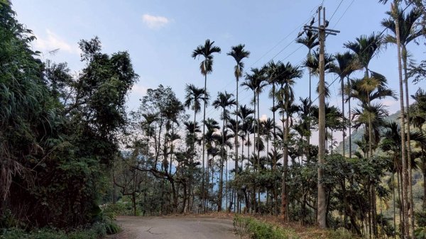 九份二山步道2861223