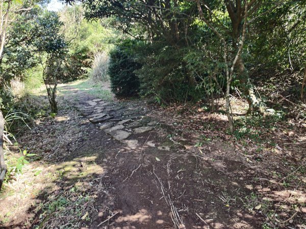 [百山百鳥尋旅-11/15] 2025_0927 大屯主峰-連峰步道_大屯山南峰2899355