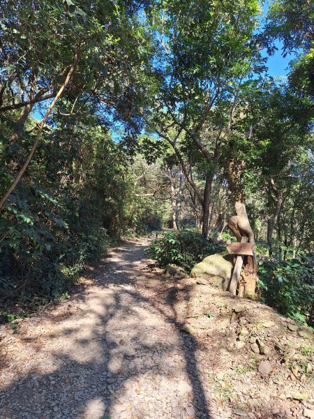 德文山(觀望山)202601052978638