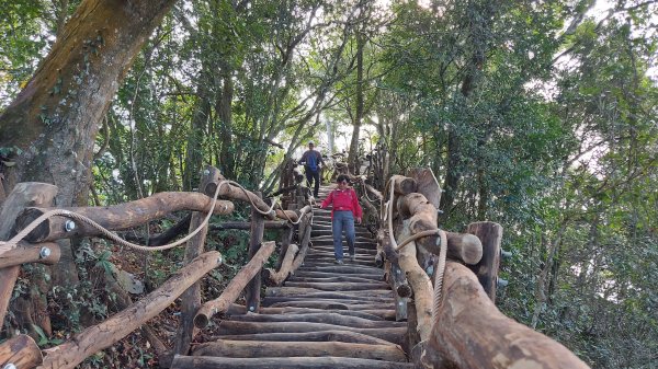 新整建的大坑三號步道到頭嵙山上下1203454