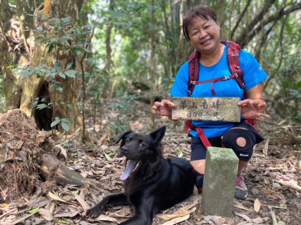 千層岩瀑布丶西阿里關山丶茅山南峰1851180