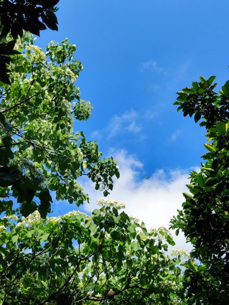 淡蘭北2+1逆走二刷2772757