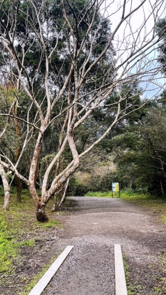 20220116_宜蘭中央公園、冬山河親水公園、林美盤石步道、羅東梅花湖步道1583962