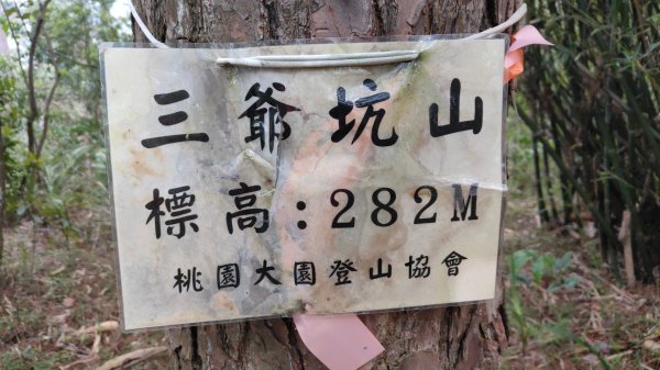 飛沙縱走33連峰2025年4月13日2760324