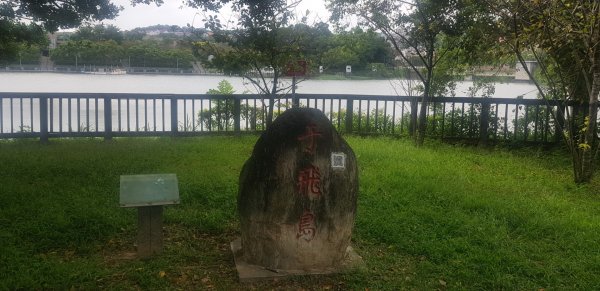 青草湖環湖步道689814