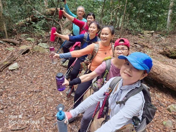 20251219八仙山+佳保台山(谷關三雌)2974428