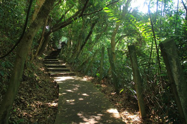 挑啊挑! 挑過山道 20190606759107